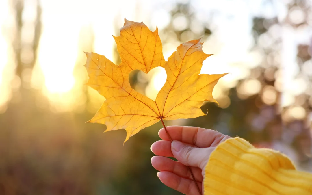 SV Promotion November 24