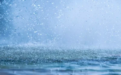 Gästeregenschirme – Rückgabe