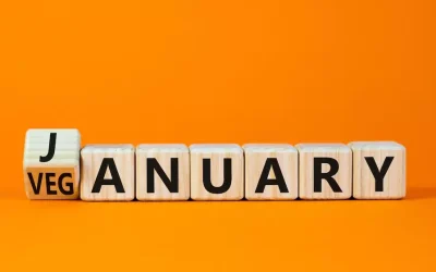 SV Information Januar 26