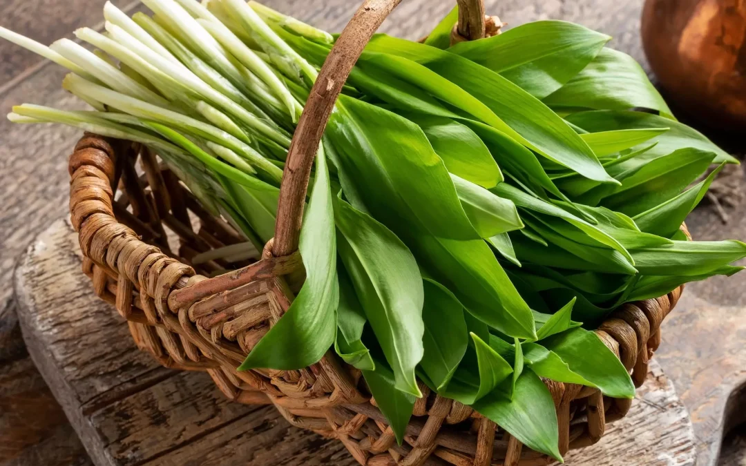 SV Information April 26