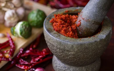 SV Information März 26