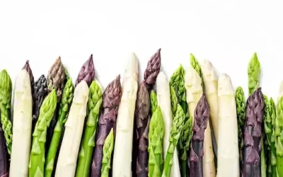 SV Information Mai 26