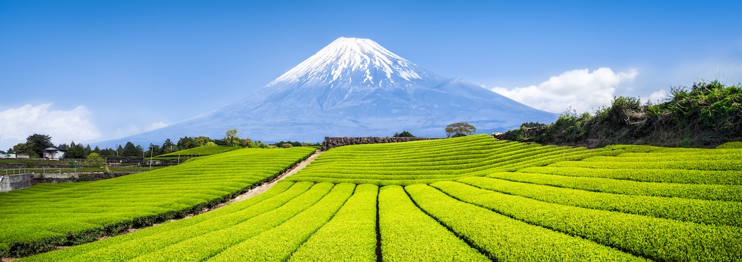Japan